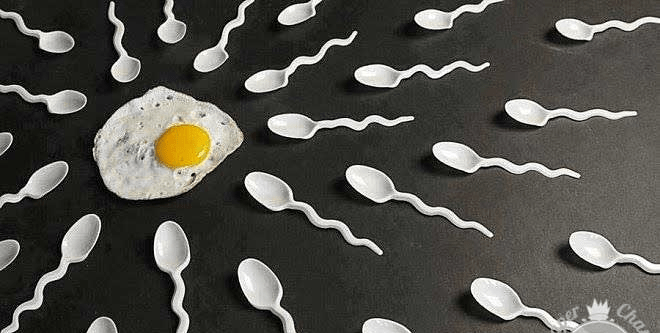 Lifestyle Tips to Improve Sperm Quality