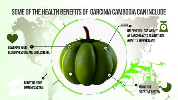 Comparing GarciniaCambogia Vibe and Pure Asian Garcinia – Which one is more effective?