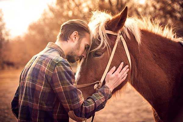 Equine Therapy: A Different Approach to Addiction Recovery