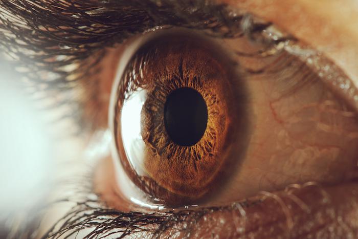 The Roles of a Cornea Specialist