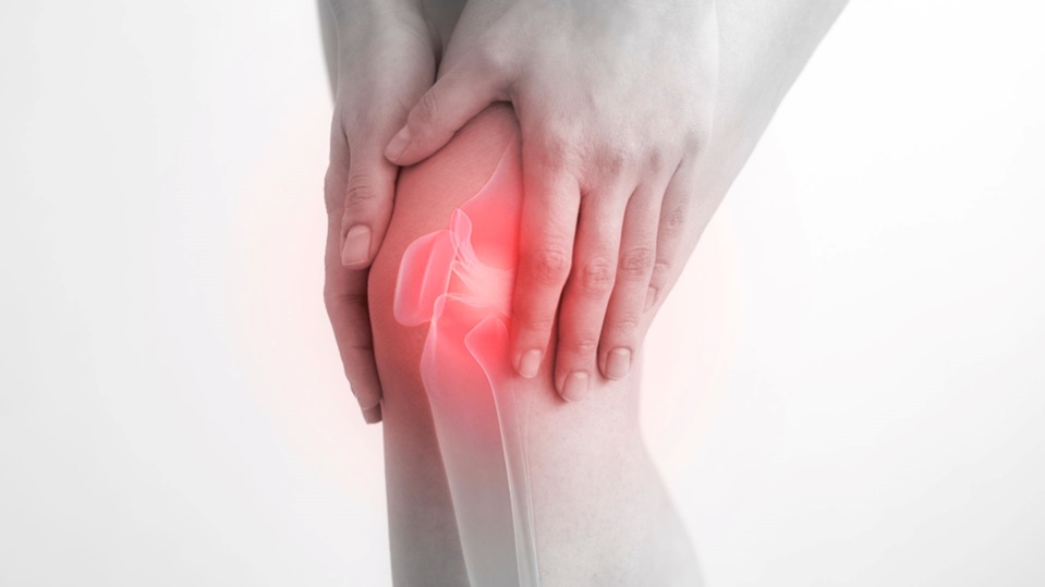 Top 6 Myths About ACL Injuries