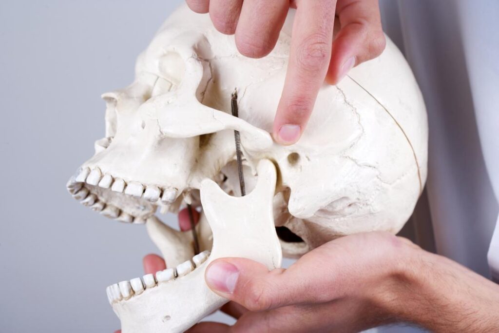 Understanding Temporomandibular Joint Dysfunction (TMD)