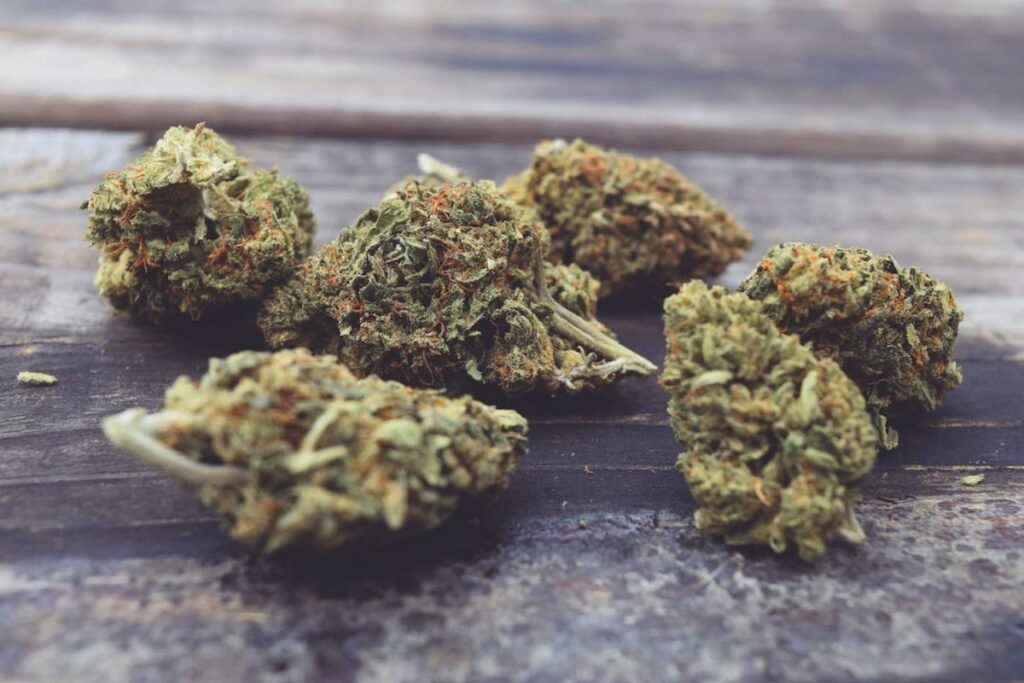 Online Stores for THCA Hemp Flower
