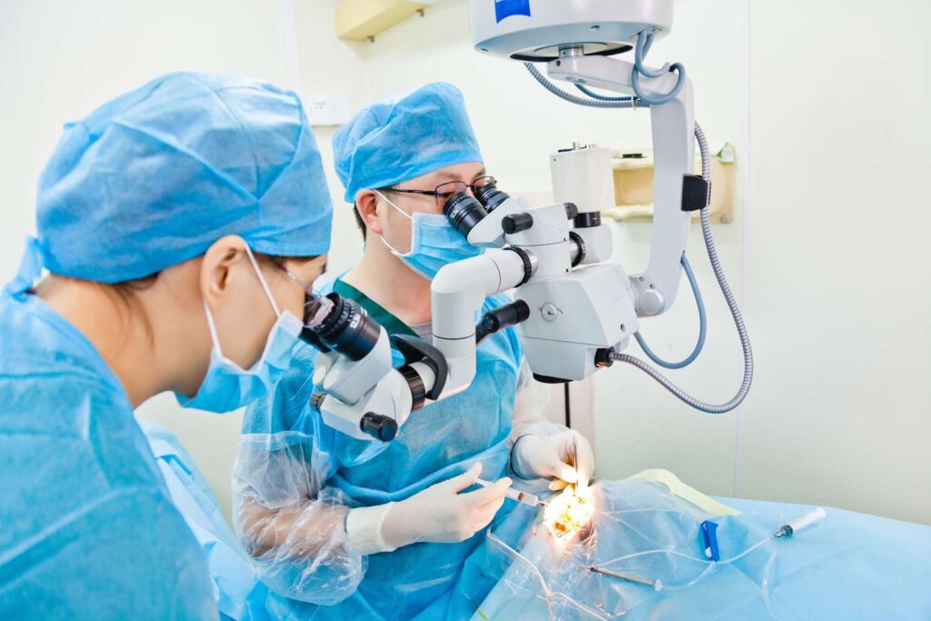 Living with Age-Related Macular Degeneration: Management Strategies and Support